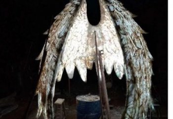 城市翅膀雕塑，網格燈光雕塑，古銅效果